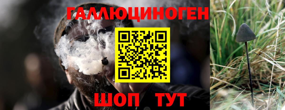 Галлюциногенные грибы Magic Shrooms  Галлюциногенные грибы GOLDEN TEACHER  Вход с VPN  Арсеньев 