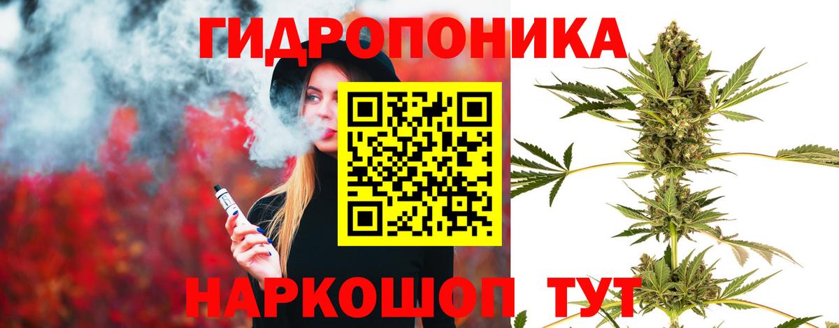 Канабис ГИДРОПОН  Вход с VPN  Конопля Bruce Banner  Канабис Amnesia  Арсеньев 